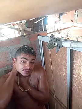 Ardo1899 online show from January 2026 11:47:01 AM