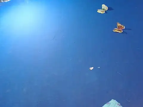 Snapshot of sk8-boy chatting on December 2025 01:39:02 PM sk8-boy online show from December 2025 01:39:02 PM