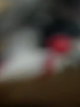 Sammyboii006 online show from February 2026 06:29:02 AM