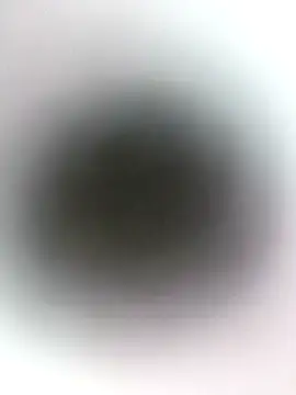 novio-de-la-tarde online show from April 2026 12:57:01 AM