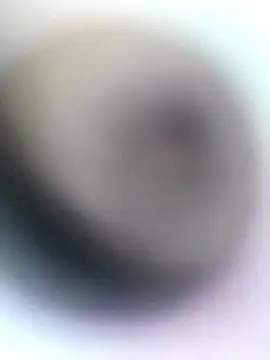 novio-de-la-tarde online show from April 2026 12:20:02 AM
