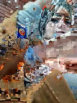 Ivy enjoy online show from July 2026 05:15:02 PM