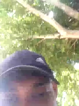 gingavi online show from August 2026 04:11:01 PM