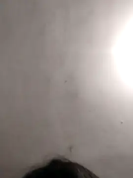 Snapshot of vanNe78 chatting on January 2026 08:25:02 PM vanNe78 online show from January 2026 08:25:02 PM