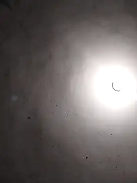 Snapshot of vanNe78 chatting on February 2026 01:24:02 AM vanNe78 online show from February 2026 01:24:02 AM