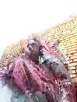 Rakhi cut online show from January 2026 03:01:01 AM