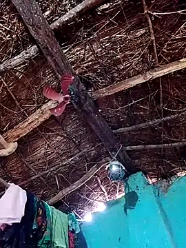 Snapshot of Rajni_hote chatting on February 2026 05:14:01 AM Rajni hote online show from February 2026 05:14:01 AM