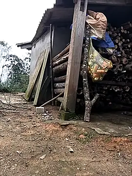 Snapshot of Money_moneylove chatting on February 2026 02:42:01 AM Money moneylove online show from February 2026 02:42:01 AM