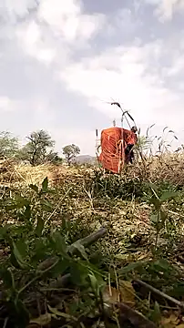 hornycouple20000 online show from March 2026 06:50:01 AM