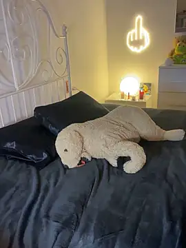 Snapshot of Tahero_98 chatting on February 2026 08:31:02 PM Tahero 98 online show from February 2026 08:31:02 PM