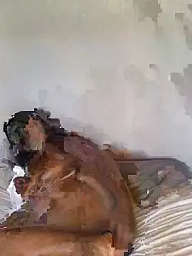 Snapshot of babepear chatting on February 2026 06:34:02 AM babepear online show from February 2026 06:34:02 AM