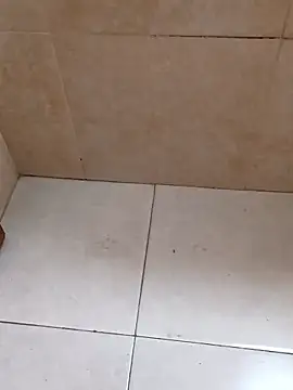 Snapshot of bra33 chatting on January 2026 03:54:01 AM bra33 online show from January 2026 03:54:01 AM