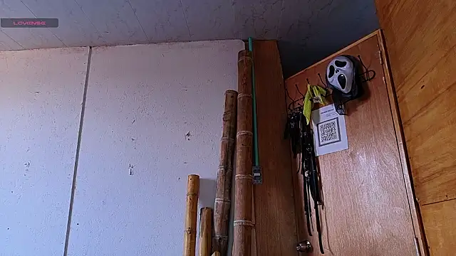 Snapshot of Alice_randyy chatting on February 2026 01:17:01 PM Alice randyy online show from February 2026 01:17:01 PM