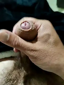 Snapshot of jim41 chatting on March 2026 06:08:02 AM jim41 online show from March 2026 06:08:02 AM