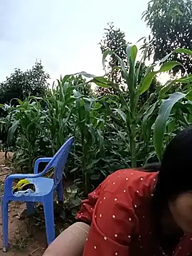 xiaogoal online show from July 2026 11:40:01 AM