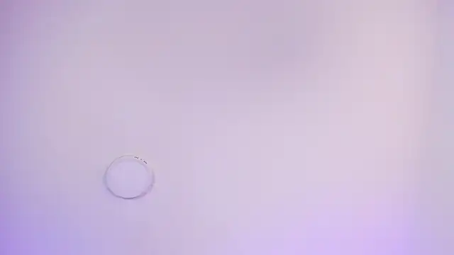 Snapshot of Genesis_And_Jack_ chatting on February 2026 02:21:01 AM Genesis And Jack online show from February 2026 02:21:01 AM