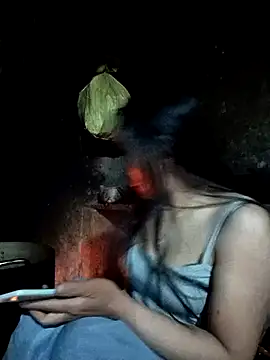 Snapshot of vanvan005 chatting on January 2026 11:25:02 AM vanvan005 online show from January 2026 11:25:02 AM