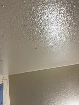 Egyptian reign online show from January 2026 03:43:02 AM