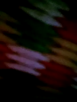 him220 online show from January 2026 04:06:01 AM