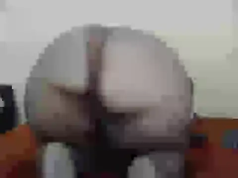 dalukuthula5832 online show from April 2026 04:54:01 AM