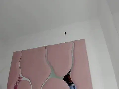 Snapshot of sharithasm chatting on February 2026 10:02:01 PM sharithasm online show from February 2026 10:02:01 PM