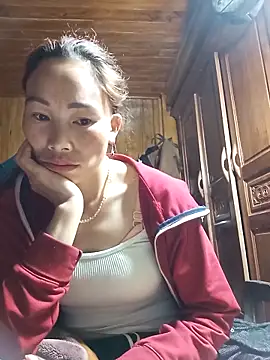 Nllpvp online show from February 2026 11:55:02 PM