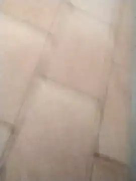 Snapshot of pikademel018 chatting on February 2026 01:56:01 PM pikademel018 online show from February 2026 01:56:01 PM