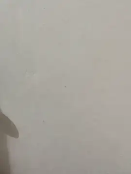 Rinrin 06 online show from March 2026 10:26:01 AM