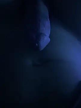 fofi77 online show from April 2026 09:29:02 PM