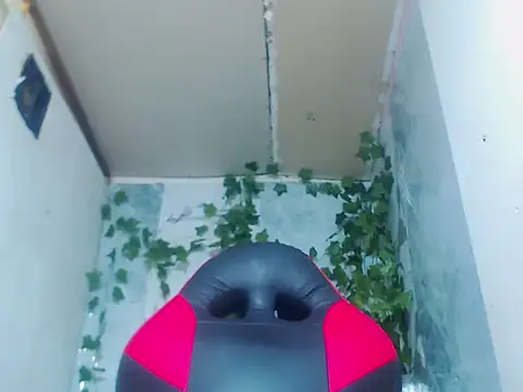 Negri hot crazy online show from February 2026 01:02:02 AM