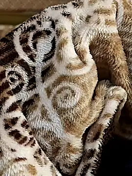 Snapshot of Love_Sweat5 chatting on January 2026 05:21:01 AM Love Sweat5 online show from January 2026 05:21:01 AM