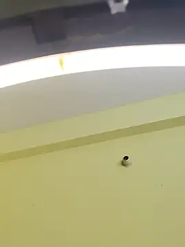 Snapshot of trinasa chatting on January 2026 08:10:02 PM trinasa online show from January 2026 08:10:02 PM