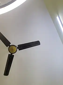 Snapshot of trinasa chatting on January 2026 06:31:01 PM trinasa online show from January 2026 06:31:01 PM