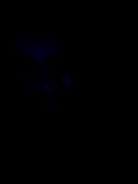 Sonja200 online show from January 2026 12:13:01 AM