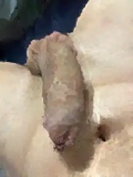 misteryboi online show from February 2026 12:20:02 AM