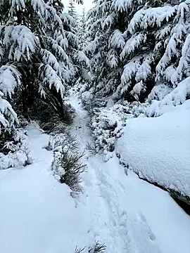 Snapshot of Marina_und_Jayden chatting on February 2026 02:24:02 PM Marina und Jayden online show from February 2026 02:24:02 PM