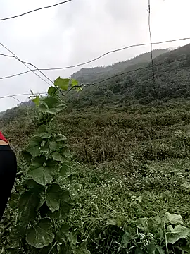 Mimi sweet1 online show from March 2026 01:54:02 AM