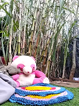 leona118 online show from January 2026 05:57:01 AM