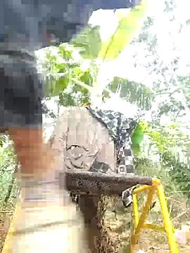 leona118 online show from April 2026 01:49:02 AM