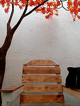 Dante Knox online show from March 2026 11:49:01 AM