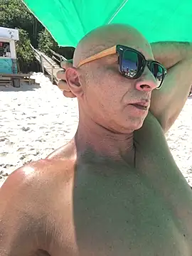 dogfrota online show from February 2026 05:41:01 PM