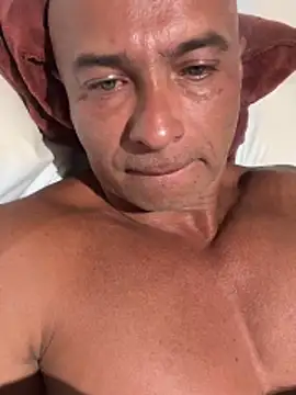 dogfrota online show from February 2026 03:40:02 AM