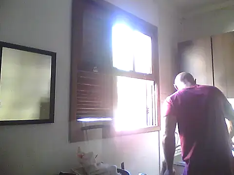 dogfrota online show from May 2026 06:06:01 PM