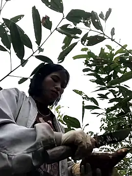 Snapshot of sun-shii chatting on January 2026 01:55:02 AM sun-shii online show from January 2026 01:55:02 AM