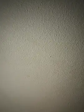 Snapshot of zumma00 chatting on January 2026 11:37:02 AM zumma00 online show from January 2026 11:37:02 AM