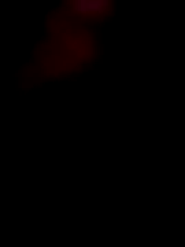 Elcalifa online show from February 2026 09:48:02 PM