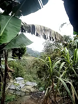 kaia-cam online show from February 2026 06:37:01 AM