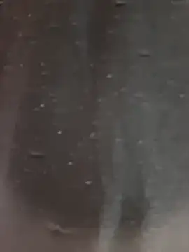 gessydiy online show from February 2026 04:16:02 PM