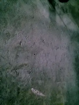 Diana-02 online show from February 2026 08:13:01 AM