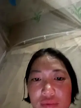 Snapshot of kotaka-shoow chatting on February 2026 10:41:02 AM kotaka-shoow online show from February 2026 10:41:02 AM